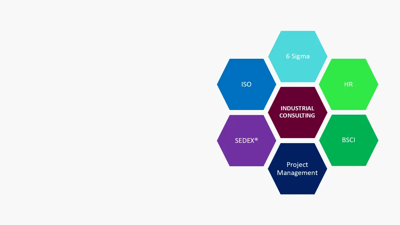 Honeycomb diagram of the nibunars industrial consulting services: ISO, SEDEX, HR, BSCI, 6 Sigma, and Project Management.