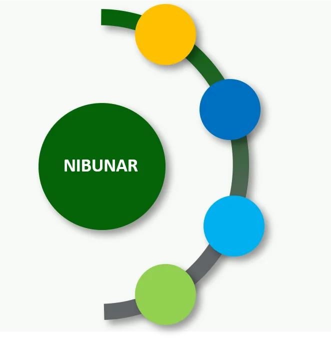 Four-part rotating circle featuring the nibunar knowledge services: industrial coaching, consulting, audits and assessments and certification.